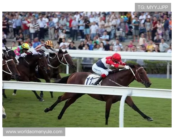 完整澳门赛马时间表2024年，帮助马迷提前掌握所有赛马赛事安排