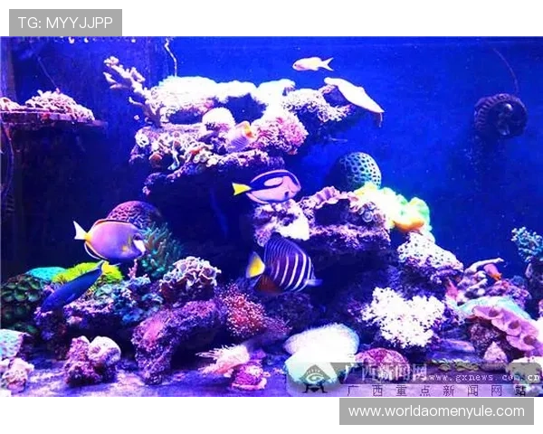 海洋之神官网真人游戏详解玩转海底宝藏揭秘海洋奥秘